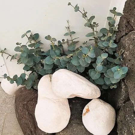 La Terraza 公寓