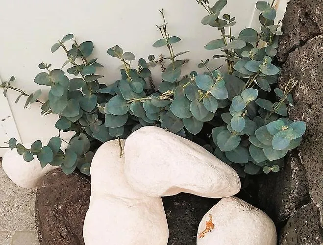 La Terraza Lägenhet